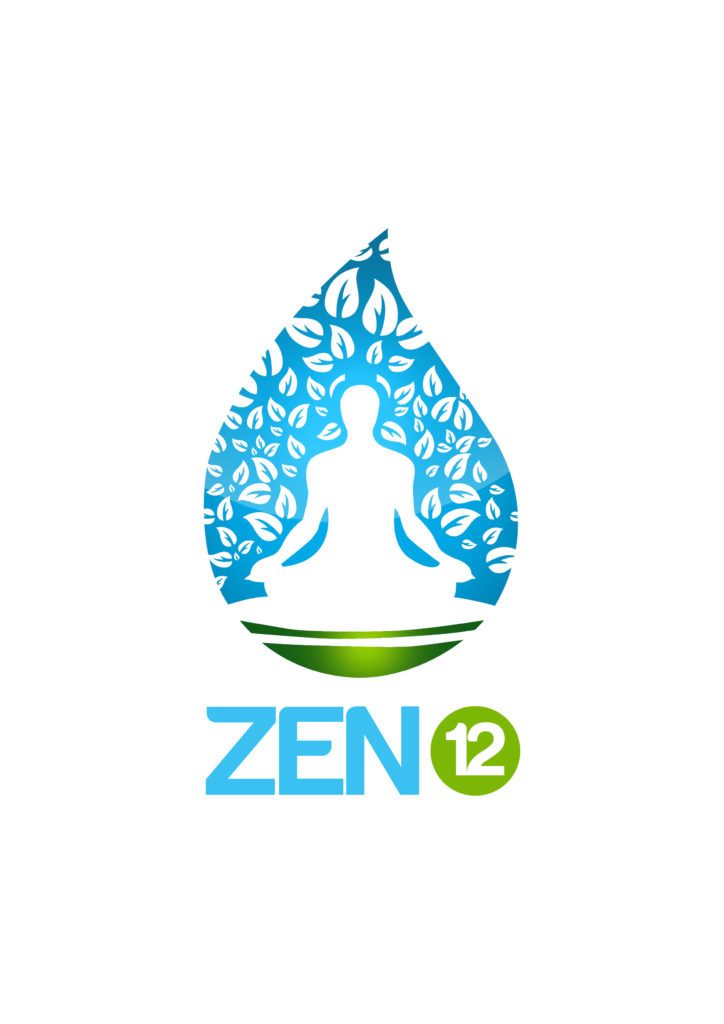 Zen12 Meditation Program