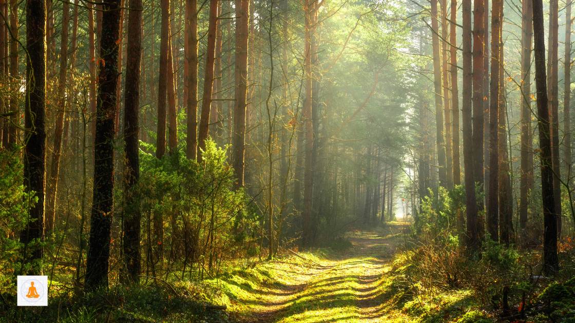 How To Interpret Visions During Meditation