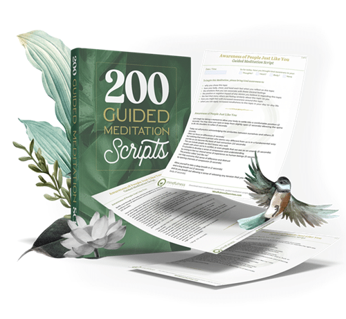 200 Guided Meditation Scripts