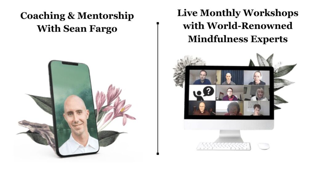 Sean Fargo's Mindfulness Teacher Training - Coaching & Workshops