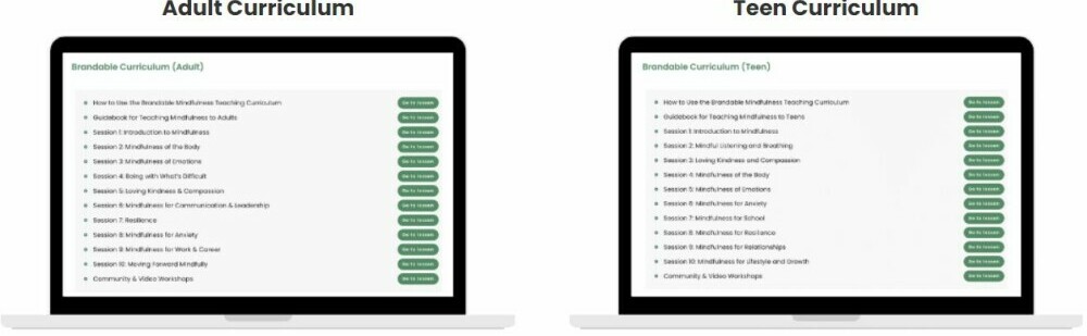 Mindfulness Teaching Curriculum - How it Works
